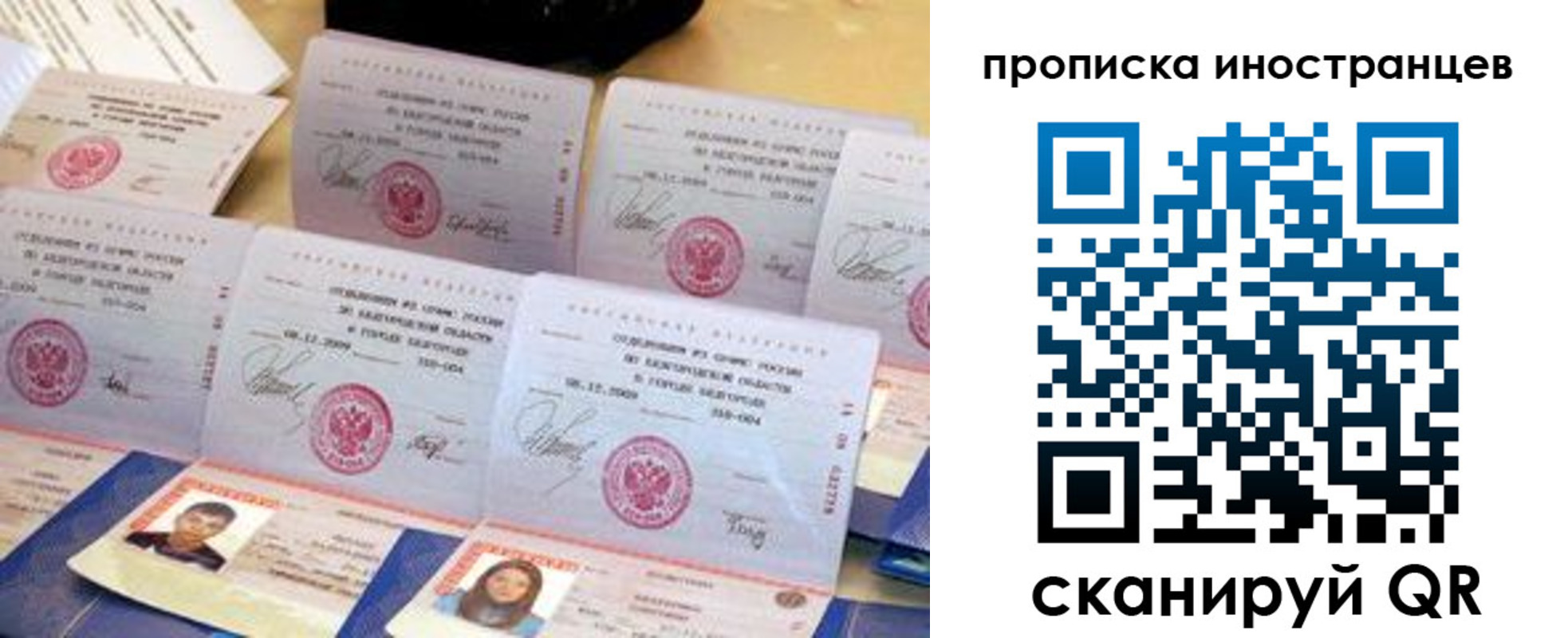 прописка для школы в Ростове-на-Дону